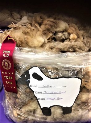 York State Fair by null