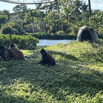 Naples Zoo - Zoos Near Me - Naples, Florida