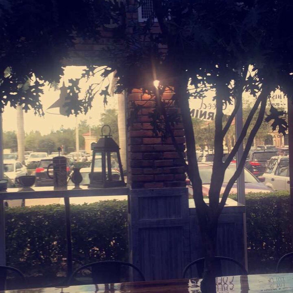 Premier Café - Coffee & Tea Near Me - Wellington, Florida Premier Café - Coffee & Tea Near Me - Wellington, Florida