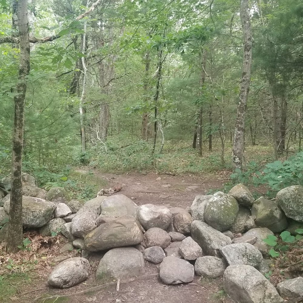 Big River Management Area - Trail has some minor obstacles, rock walls, muddy areas - Hiking Near Me - West Greenwich, Rhode Island