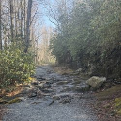 Whiteside Mountain Trail