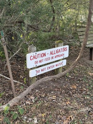 Brazos Bend State Park by null