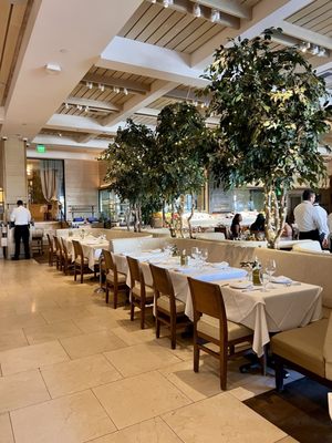 Avra Beverly Hills by null