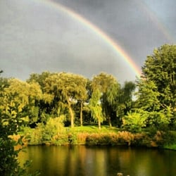 Rembrandtpark - Stukje groen in de Baarsjes