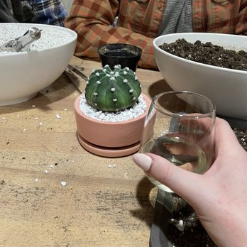 The Succulent Shop - Flowers & Gifts Near Me - Broken Arrow, Oklahoma