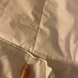 These small stains are a hallmark of bedbugs