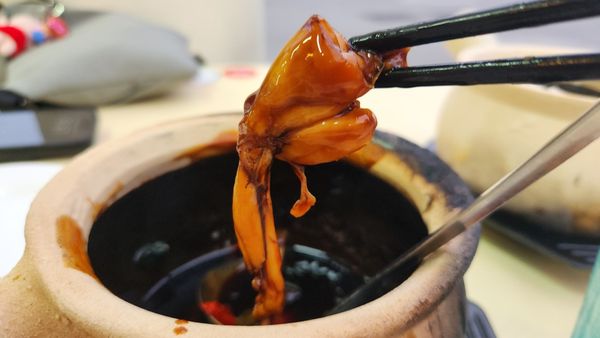 G7 Frog Porridge & Live Seafood by null