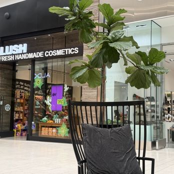 Lush - First floor next to Steve Madden - Cosmetics & Beauty Supply Near Me - Sherman Oaks, California Lush - First floor next to Steve Madden - Cosmetics & Beauty Supply Near Me - Sherman Oaks, California