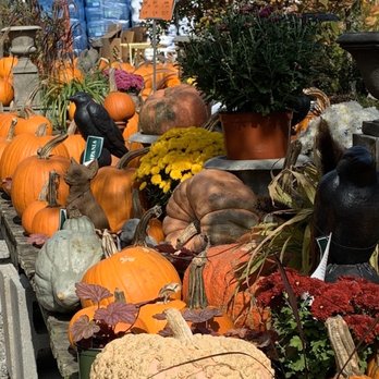 Windy Hill Farm - Nurseries & Gardening Near Me - Great Barrington, Massachusetts Windy Hill Farm - Nurseries & Gardening Near Me - Great Barrington, Massachusetts