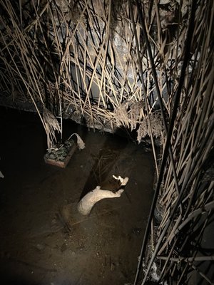 Prague Ghosts Legends Museum by null