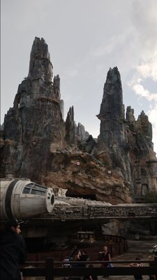 Kat Saka's Kettle by null