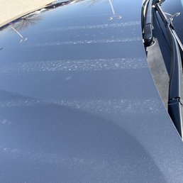Hood of car after cleaning.