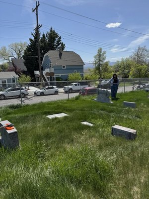Mount Calvary Catholic Cemetery & Mausoleum