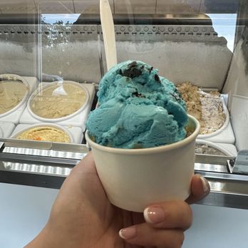 Hoffman's Ice Cream - Cookie Monster - Bakeries Near Me - Spring Lake Heights, New Jersey