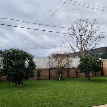 Millan Tree Service - After ( Amazing Job by Rafael and his son) - General Contractors Near Me