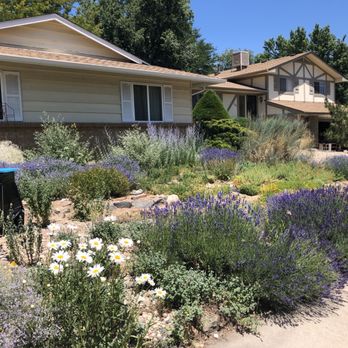 Green Mountain Garden - Established perennial garden - Nurseries & Gardening Near Me Green Mountain Garden - Established perennial garden - Nurseries & Gardening Near Me
