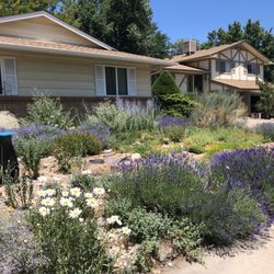 Green Mountain Garden - Established perennial garden