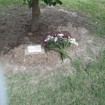Hearthstone Park - Mother's Day 2020 - Parks Near Me - Houston, Texas Hearthstone Park - Mother's Day 2020 - Parks Near Me - Houston, Texas