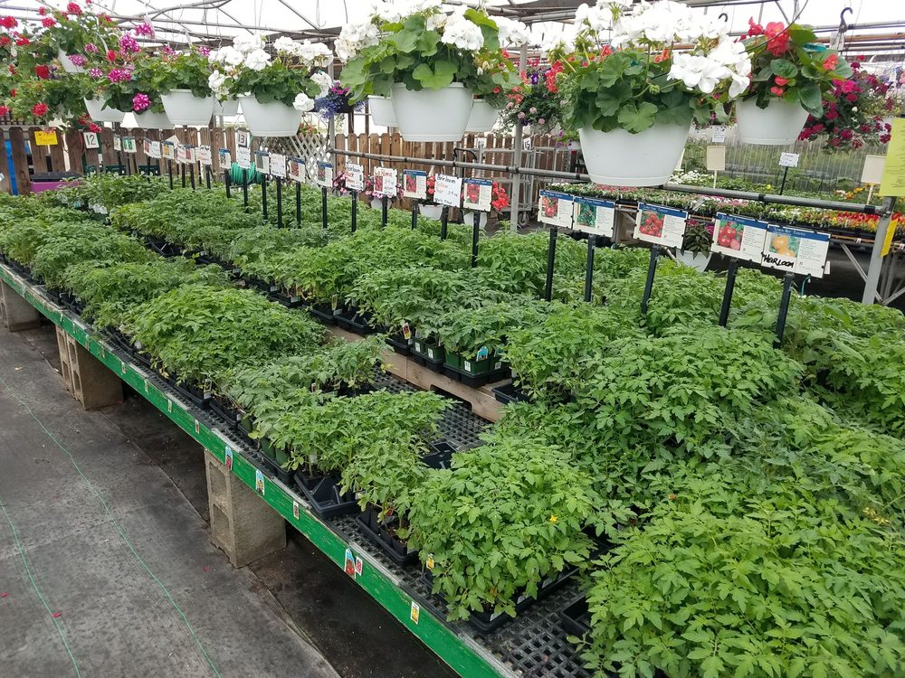 SCHURING RETAIL GREENHOUSE Updated July 2024 610 Schuring Rd
