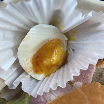 Tala Coffee & Tea - Farm fresh egg - Coffee & Tea Near Me - El Cerrito, California Tala Coffee & Tea - Farm fresh egg - Coffee & Tea Near Me - El Cerrito, California