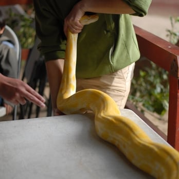 Wildlife Learning Center - Yikes! - Zoos Near Me - Sylmar, California Wildlife Learning Center - Yikes! - Zoos Near Me - Sylmar, California
