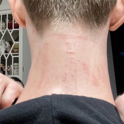 All the Buzz Cuts For Men