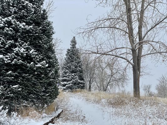 Cherry Creek State Park by null