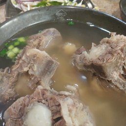 Ox Tail