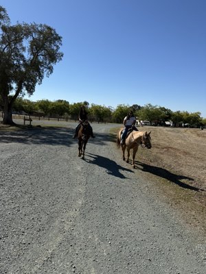 4 Horse Ranch by null