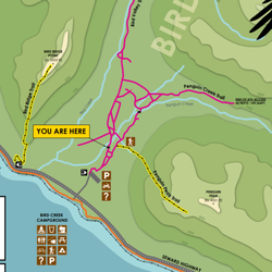 Penguin Creek Trail - Lay of the land: