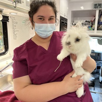 Shiloh Veterinary Hospital - Nicole (veterinary assistant) - Veterinarians Near Me Shiloh Veterinary Hospital - Nicole (veterinary assistant) - Veterinarians Near Me