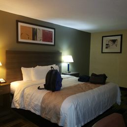 Slept like a champ! Slept like a champ!