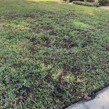 Massey Services - Dirt and weeds. $59 bi monthly.... - Landscaping Near Me - Orlando, Florida Massey Services - Dirt and weeds. $59 bi monthly.... - Landscaping Near Me - Orlando, Florida