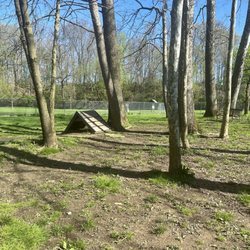 Pizzurro Dog Park - Small dog run