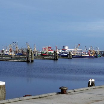 Schierzicht - Seafood Near Me - Lauwersoog, GR Schierzicht - Seafood Near Me - Lauwersoog, GR