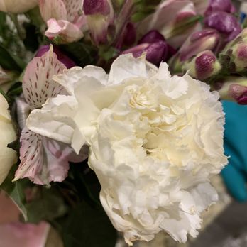 Miracle Flowers - Dying carnation - Florists Near Me - Folsom, California