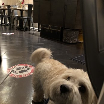 Bocaditos Bistro - Dogs are welcome!!! - Breakfast & Brunch Near Me - New York, New York Bocaditos Bistro - Dogs are welcome!!! - Breakfast & Brunch Near Me - New York, New York