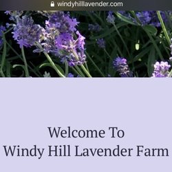 Windy Hill Lavender Farm - Windy Hill Lavender Farm