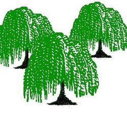 Three Willows Home Inspections