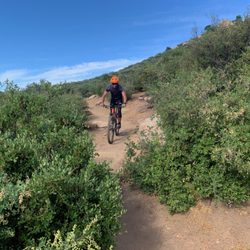7sherpas - Mountain bike? Yes! We can take you to the best trails