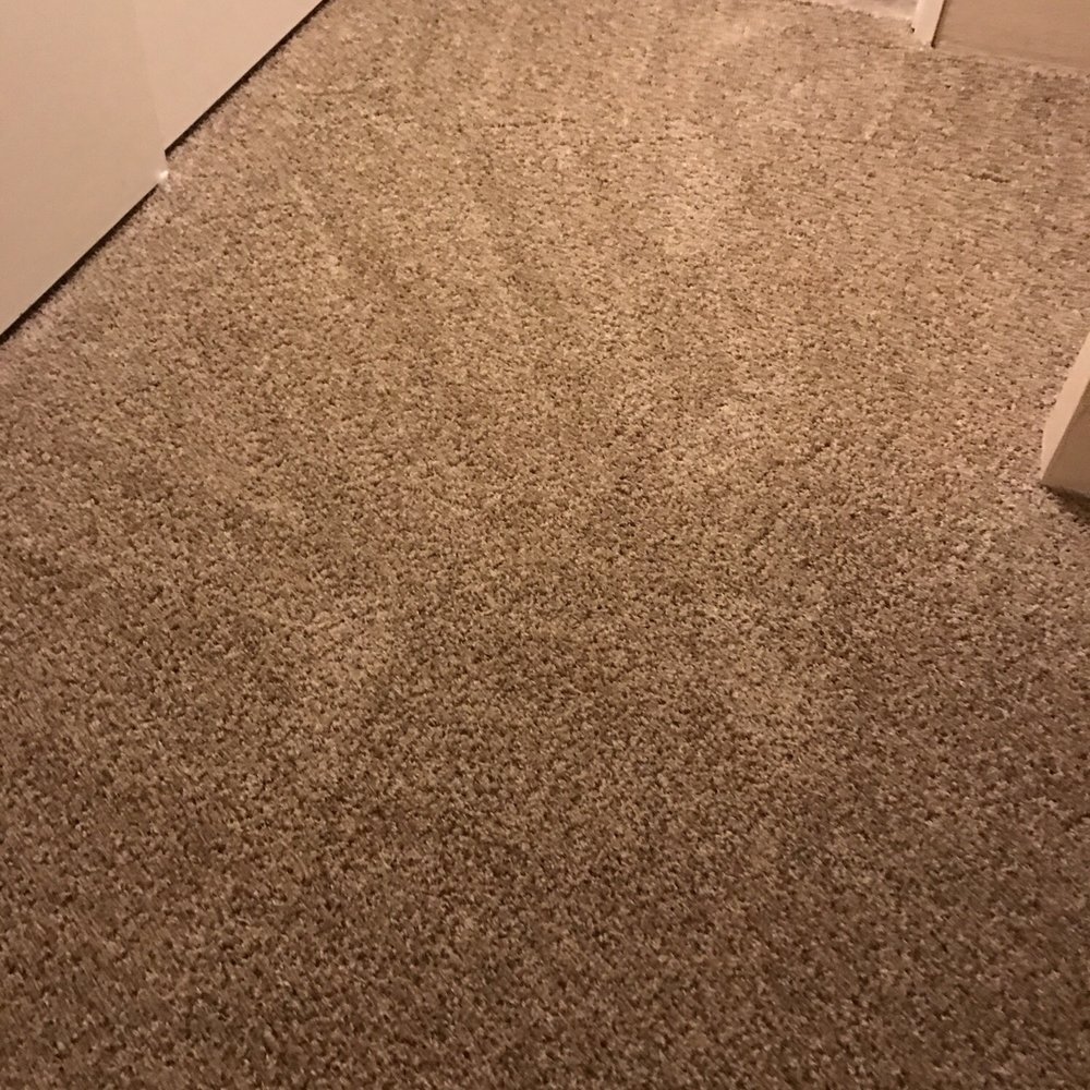 Cisco Steam Clean - Carpet Cleaning Near Me - San Tan Valley, Arizona Cisco Steam Clean - Carpet Cleaning Near Me - San Tan Valley, Arizona