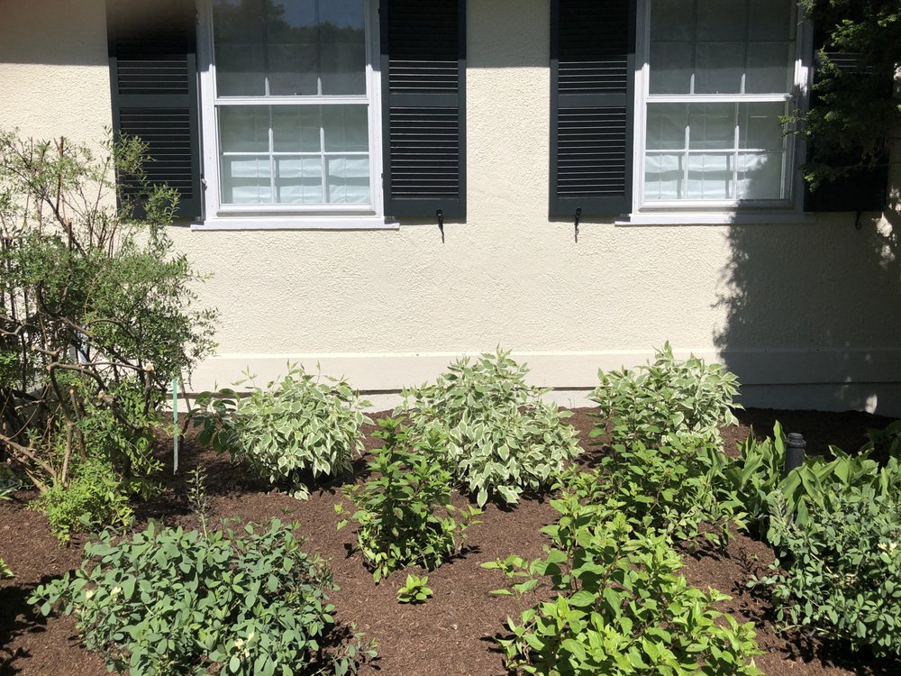 BOB WHELAN & SON PAINTING Updated September 2024 Newton