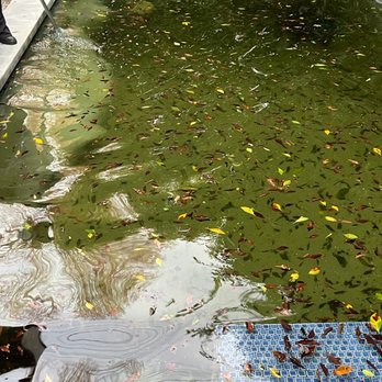 Blessing Pool Care - Pool Cleaners Near Me - Van Nuys, California