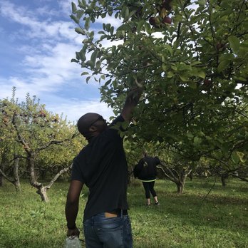Stone Ridge Orchard - Pick Your Own Farms Near Me - Stone Ridge, New York