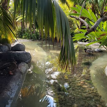 Bahia Resort Hotel - Garden - San Diego, CA