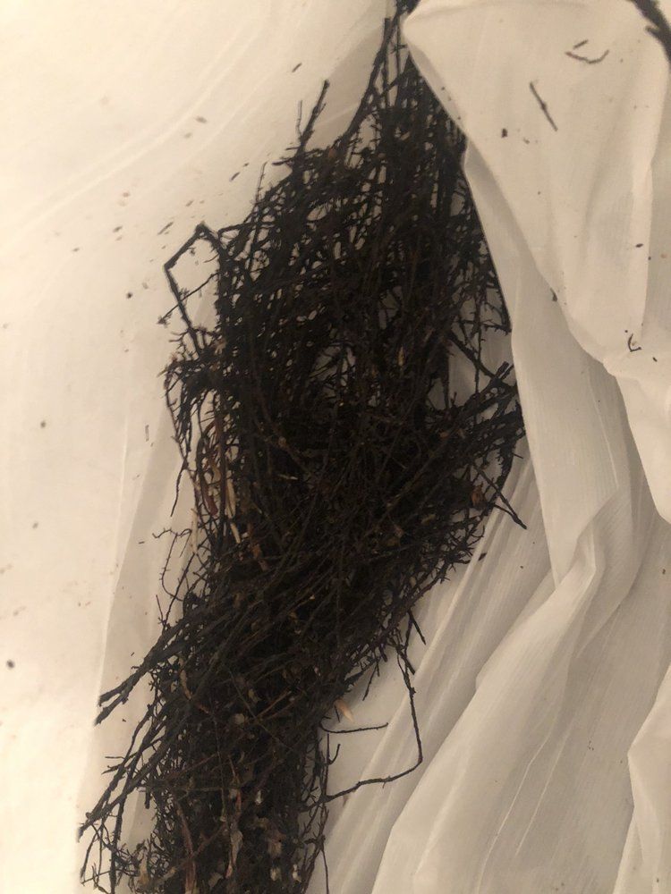 Slide of Elliott's Sewer & Drain