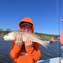 Photo of Local Knowledge Fishing Charters