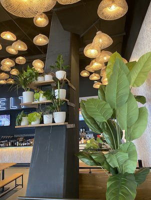 AKO by KENAKI by null