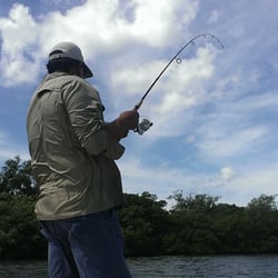 Sinbad Charters - Fishing on Florida's Gulf Coast.