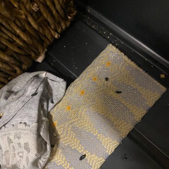 Public Storage - Rat excrement found inside my belongings, a bin of clothes - Self Storage Near Me - Burien, Washington Public Storage - Rat excrement found inside my belongings, a bin of clothes - Self Storage Near Me - Burien, Washington